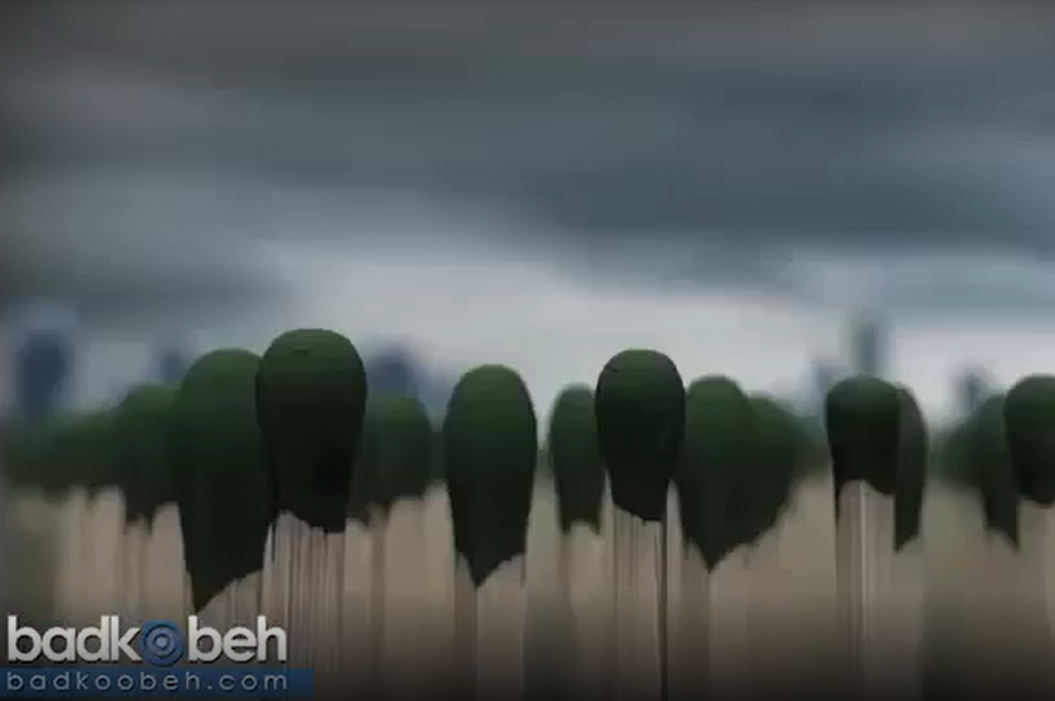 تیزر فرهنگی جنگل ( کبریت)